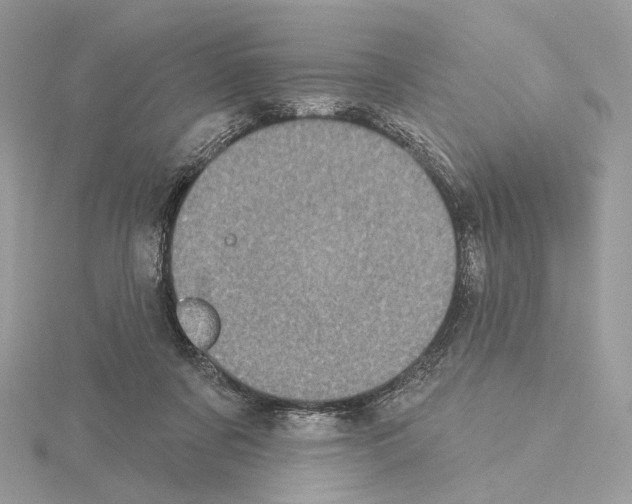 X0000115050311200912071136