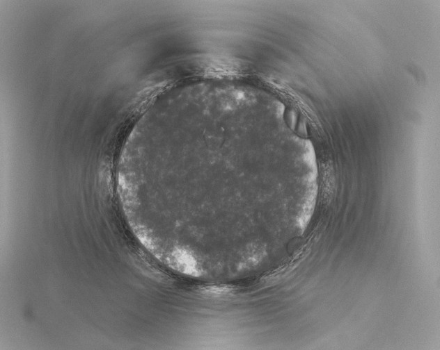 X0000115050313200912071136