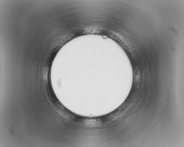 X0000115050315200912071136