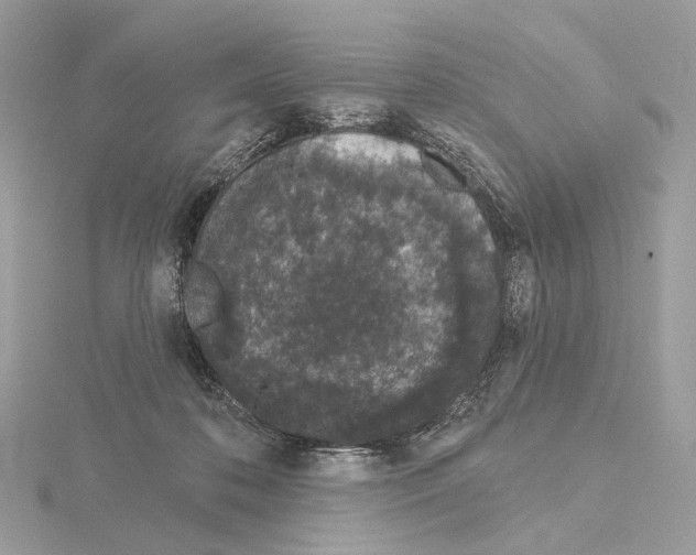 X0000115050316200912071136