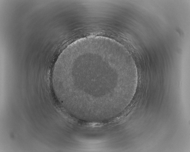 X0000115050319200912071136