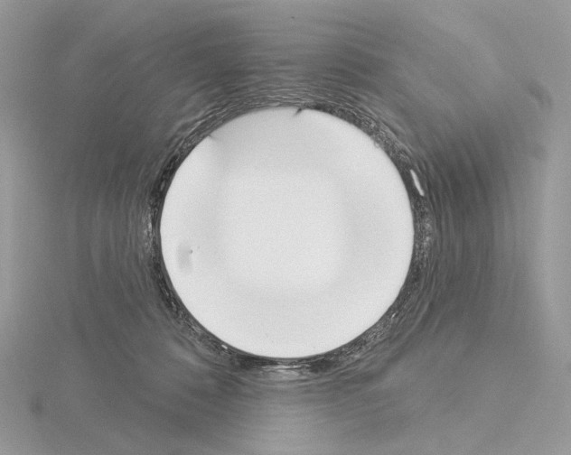 X0000115050320200912071136