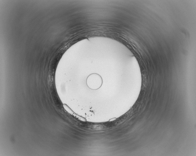 X0000115050324200912071136