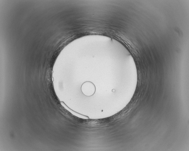 X0000115050325200912071136