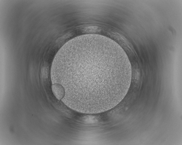 X0000115050326200912071136