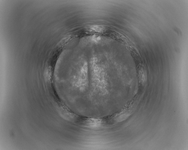 X0000115050328200912071136