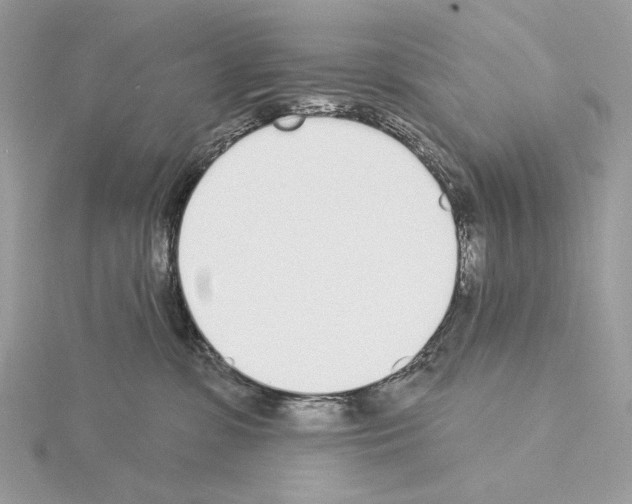 X0000115050331200912071136