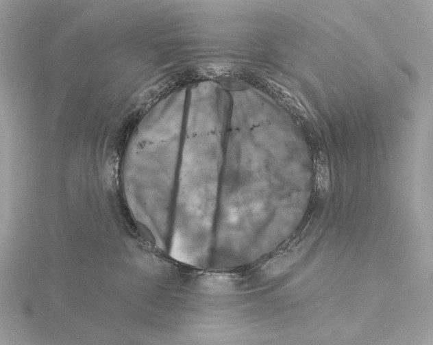 X0000115050332200912071136