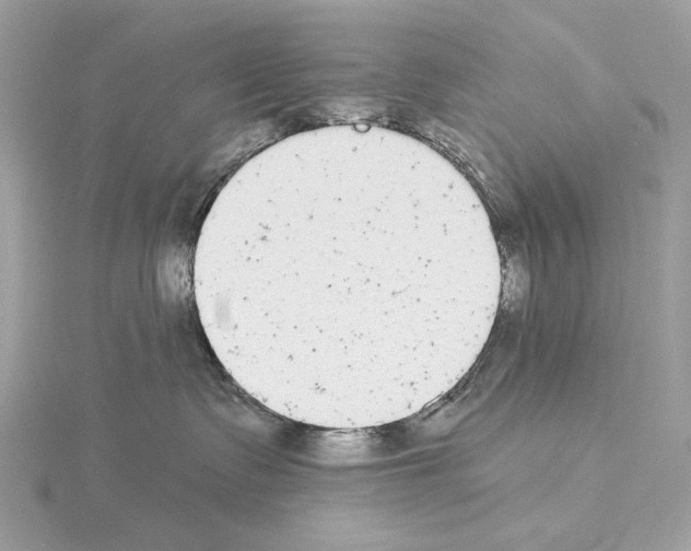 X0000115050335200912071135