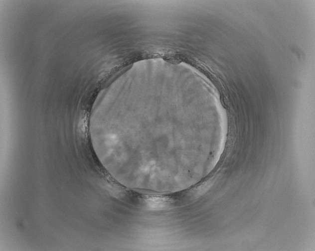 X0000115050336200912071135