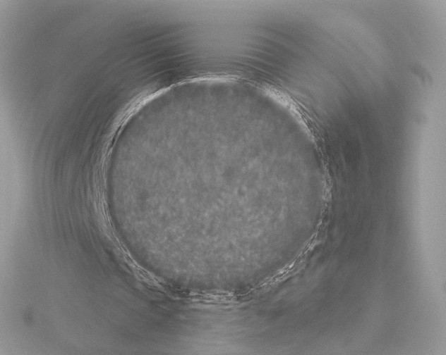 X0000115050337200912071135