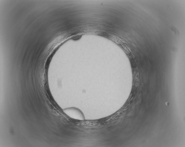 X0000115050338200912071135