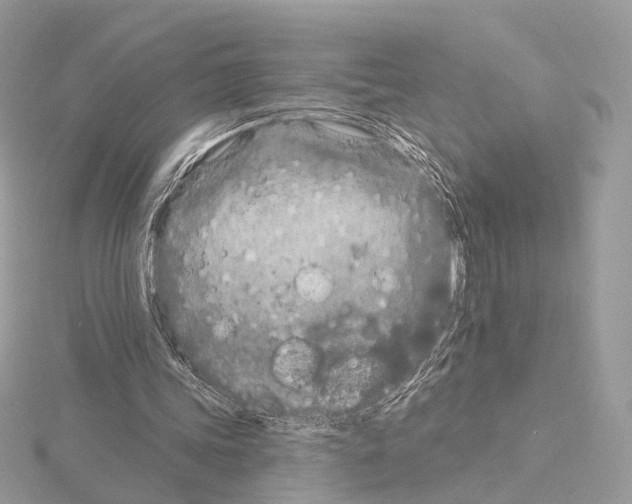 X0000115050339200912071135