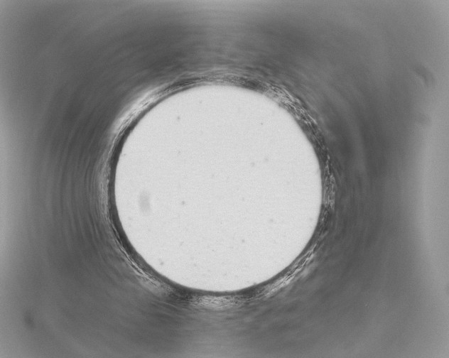 X0000115050341200912071135