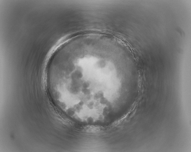 X0000115050343200912071135