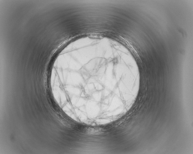 X0000115050346200912071135