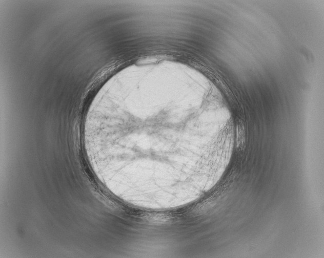 X0000115050349200912071135