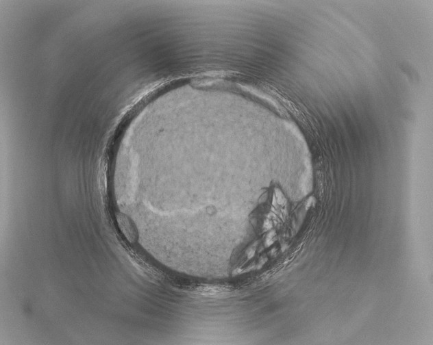 X0000115050350200912071135