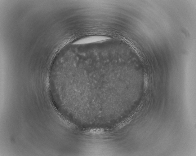 X0000115050353200912071135