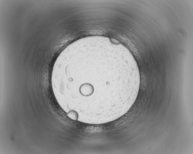 X0000115050354200912071135