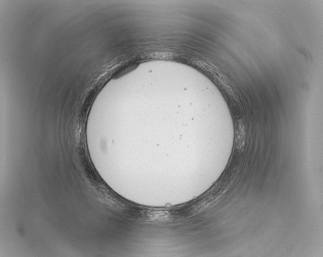 X0000115050355200912071135