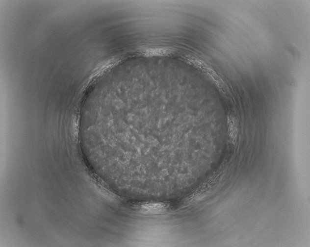 X0000115050357200912071135