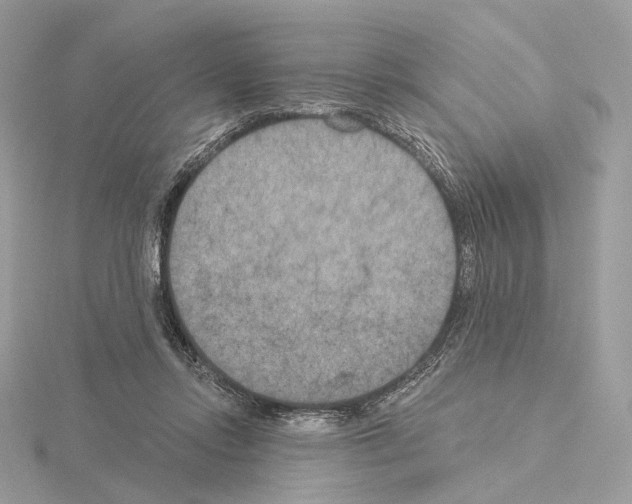 X0000115050358200912071135