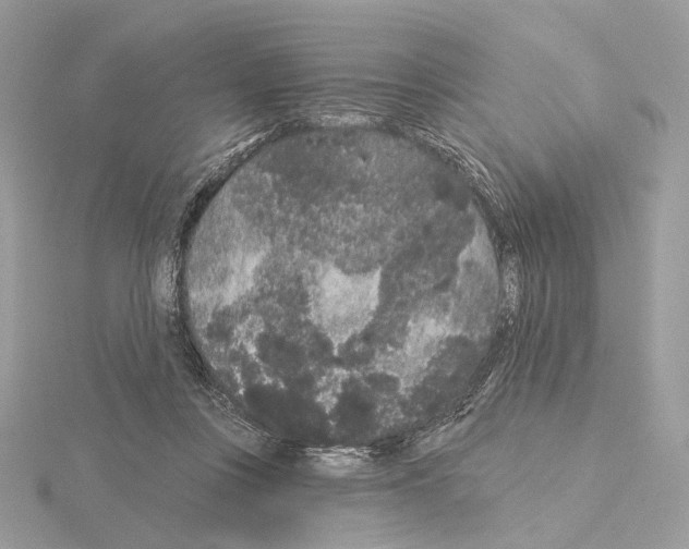 X0000115050359200912071135