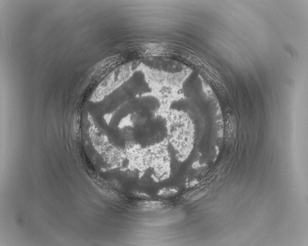 X0000115050361200912071135