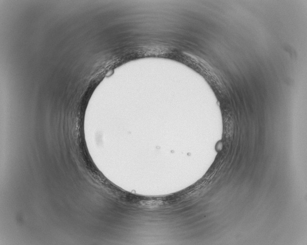 X0000115050362200912071135