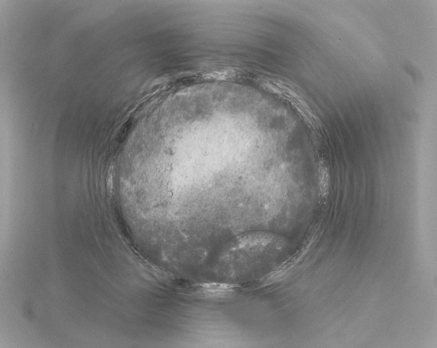 X0000115050363200912071135