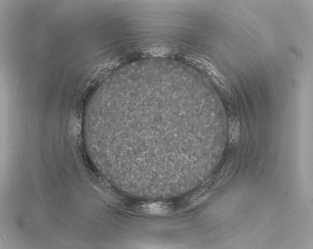 X0000115050365200912071135