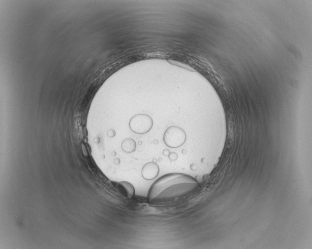 X0000115050366200912071135