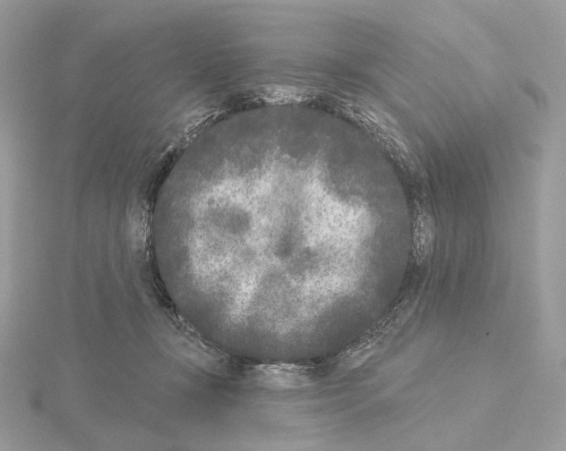 X0000115050367200912071135