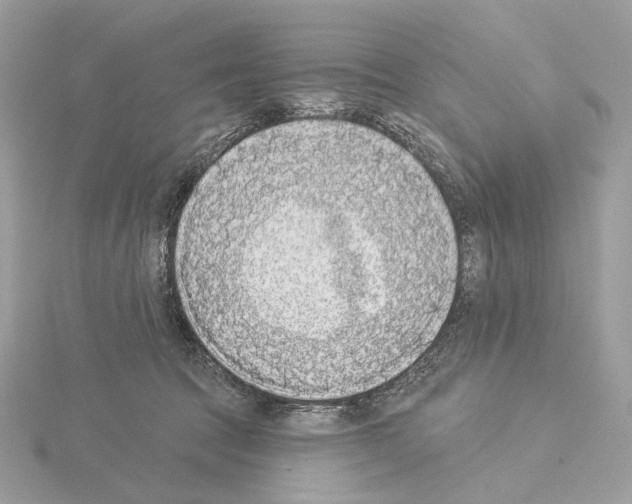 X0000115050369200912071135