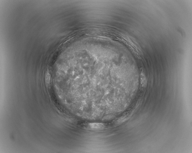 X0000115050371200912071135