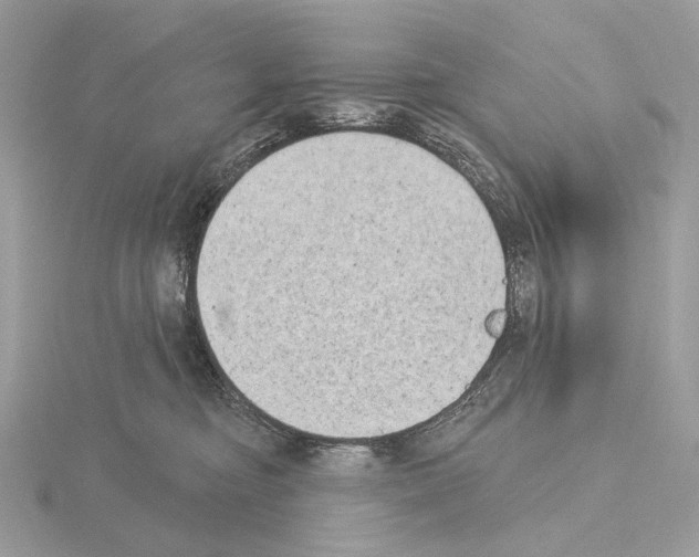 X0000115050374200912071135