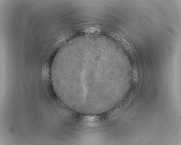 X0000115050375200912071135