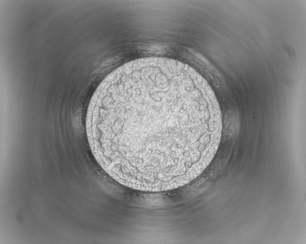 X0000115050377200912071135