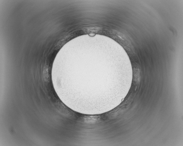 X0000115050378200912071135