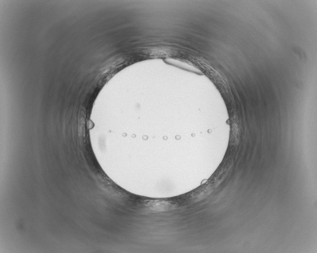 X0000115050379200912071135