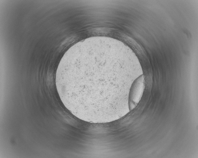 X0000115050381200912071135