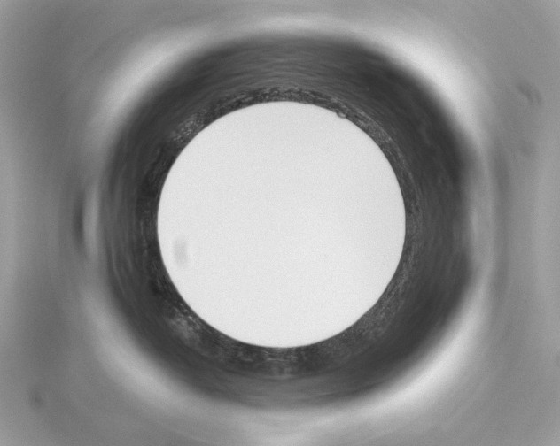 X0000115050382200912071135