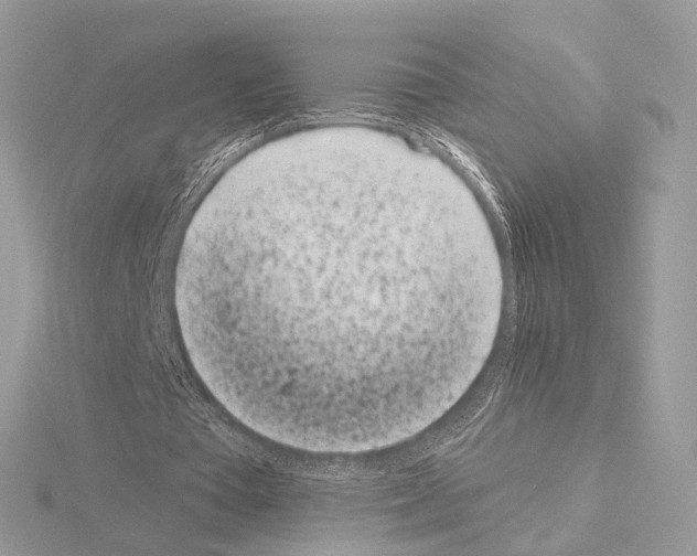 X0000115050385200912071135