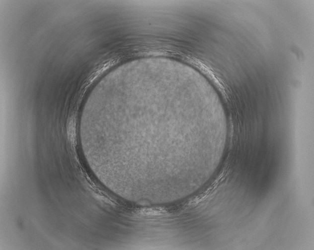 X0000115050386200912071135