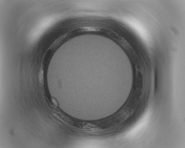 X0000115050387200912071135