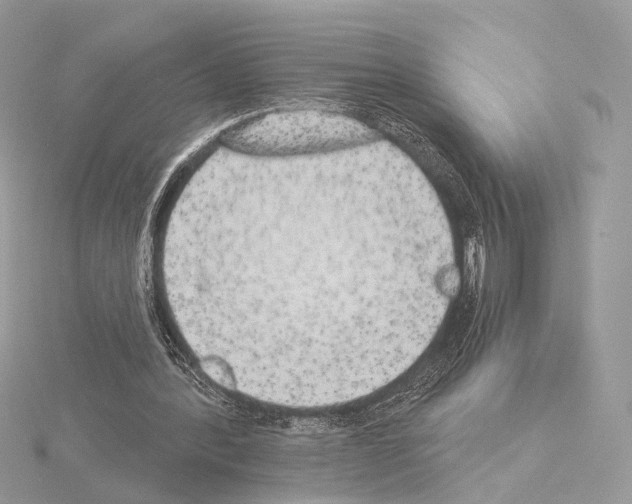 X0000115050388200912071135