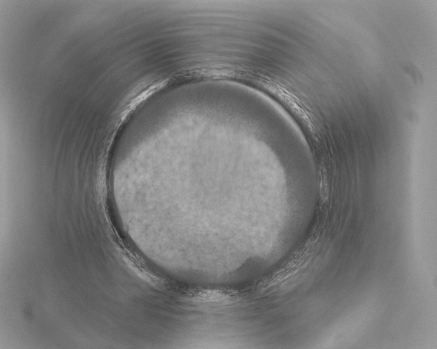 X0000115050390200912071135