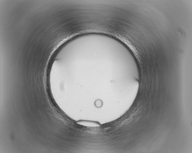 X0000115050391200912071135