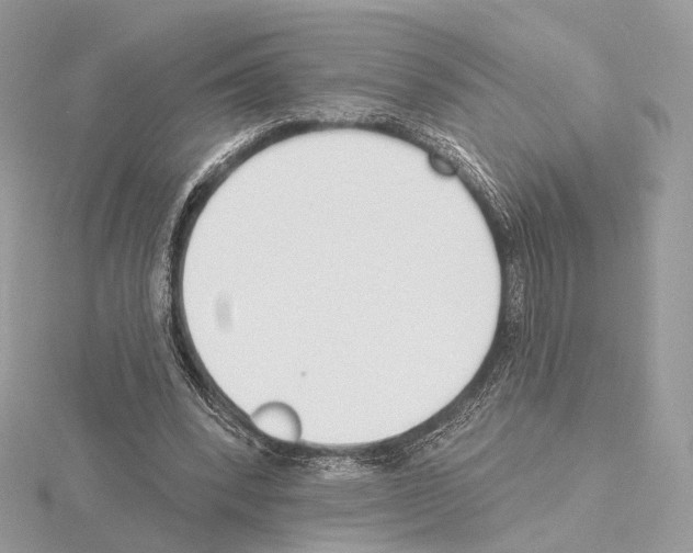 X0000115050392200912071135